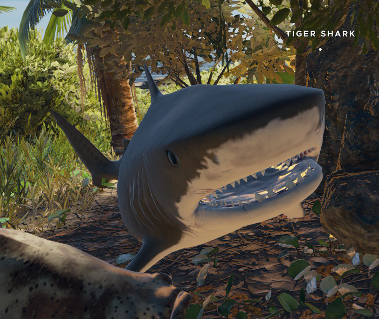 stranded deep shark