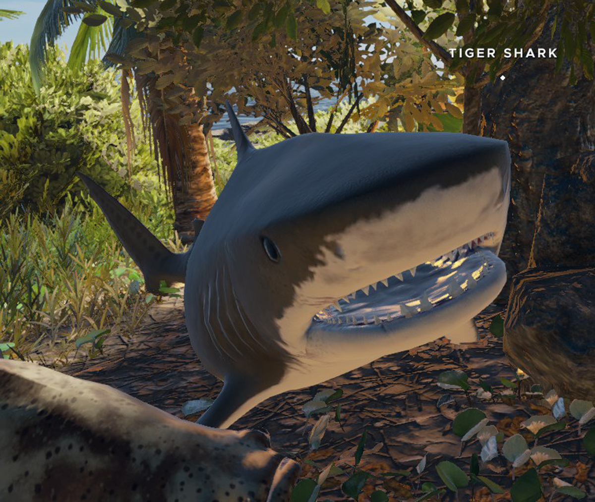 Killed My First Shark!! : r/strandeddeep