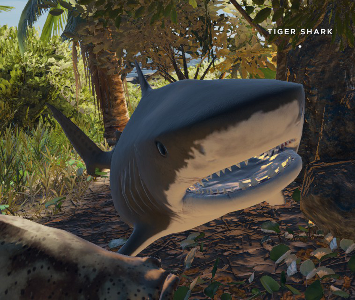 The Meg, Stranded Deep Wiki