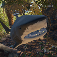 Shark Stranded Deep Wiki Fandom