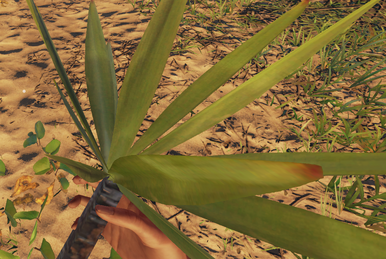 How To Make Lashing in Stranded Deep