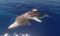 The Meg, Stranded Deep Wiki