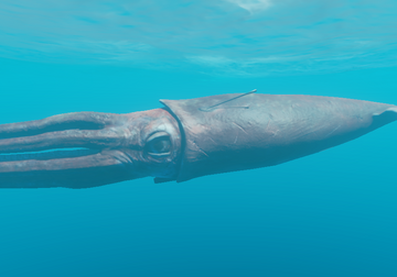 Hog, Stranded Deep Wiki