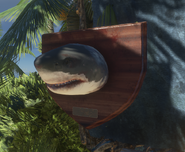 The Meg's trophy