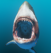 MEGmouth.png (718 KB) The Meg's open mouth