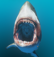 The Meg's open mouth