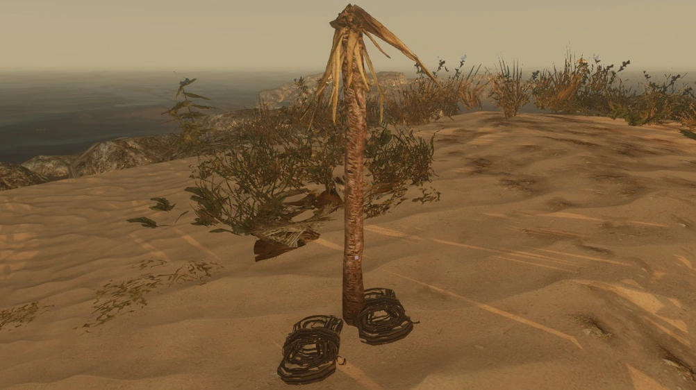 Yucca Stranded Deep Wiki Fandom