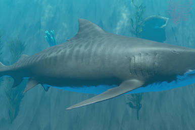 Shark, Stranded Deep Wiki