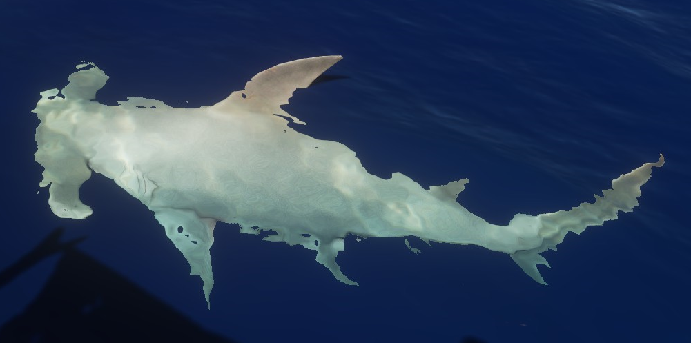 Hog, Stranded Deep Wiki