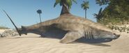 Tiger shark in earlier versions of the game