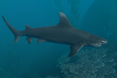 Stranded Deep PS4 Dead Shark - Marooners' Rock