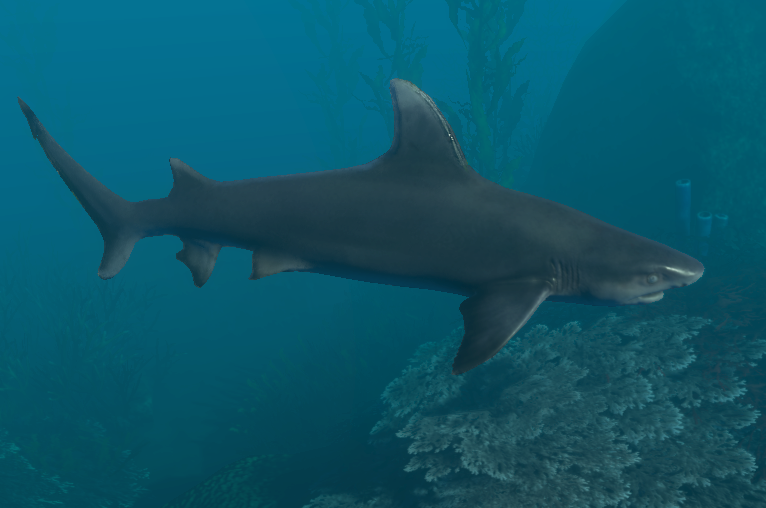 Shark, Stranded Deep Wiki