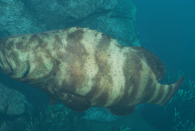 Stranded Deep on X: A new experimental build (0.64.00) is now with a new  Hog, Giant Crab, Localization and more!    / X
