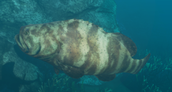 Stranded Deep  Quwawa Seared Grouper - The Gluttonous Geek