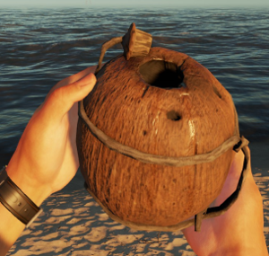 stranded deep coconut flask