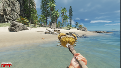 Update 0.41.01 - Official Stranded Deep Wiki