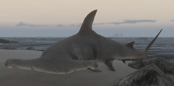 Stranded Deep PS4 Dead Shark - Marooners' Rock