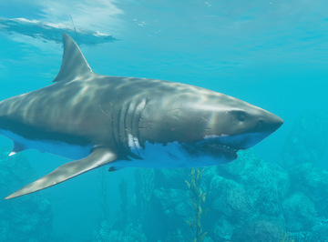 Stranded Deep Death By Shark PS4 LPOS 