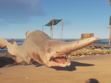 Goblin Shark