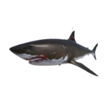 Rawhide, Stranded Deep Wiki