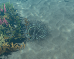 How To Cure Every Negative Status Effect In Stranded Deep