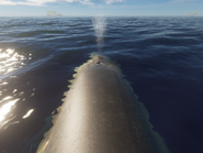 A humpback whale being ridden by the player