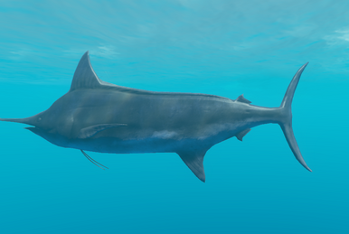 Machete, Stranded Deep Wiki