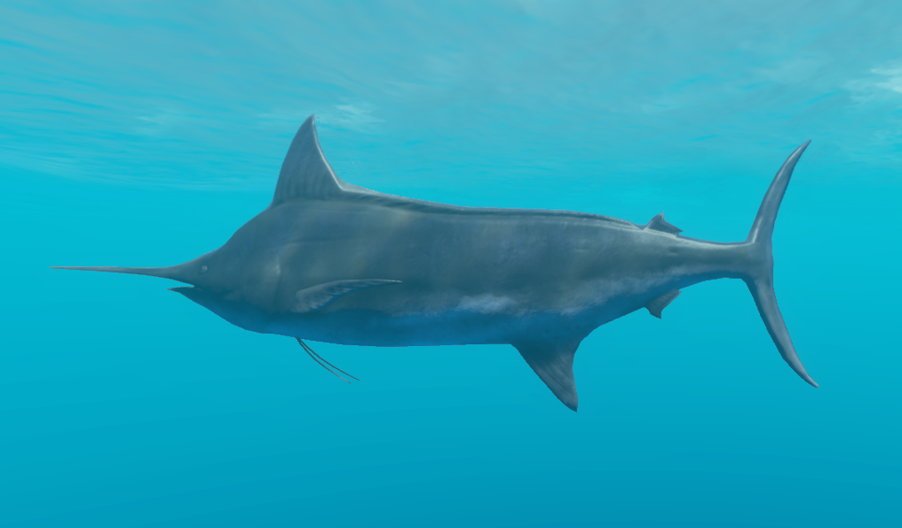 Marlin Shark Attack::Appstore for Android