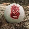 Wilson, the inanimate character from the movie "Cast Away."