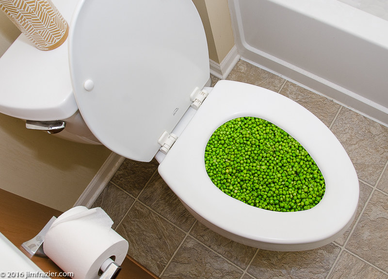 Is it safe to flush food (especially rice) down the toilet?