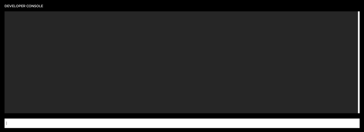 Developer Console