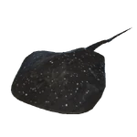 Stingray.png
