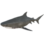 The Meg, Stranded Deep Wiki