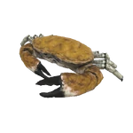 Crab.png