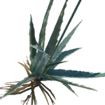 Aloe Vera - Official Stranded Deep Wiki