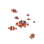 ClownFish.png