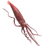 Boss Squid.png