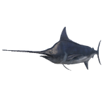 Marlin.png