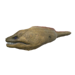 Hog, Stranded Deep Wiki