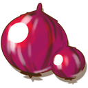 Onion