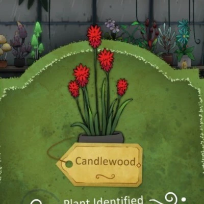Plants | Strange Horticulture Wiki | Fandom
