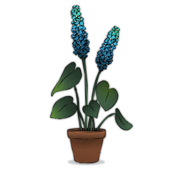 strange horticulture wiki strange horticulture wiki