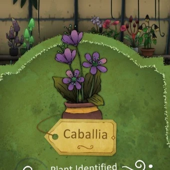 best buds plants Best Buds main image 1