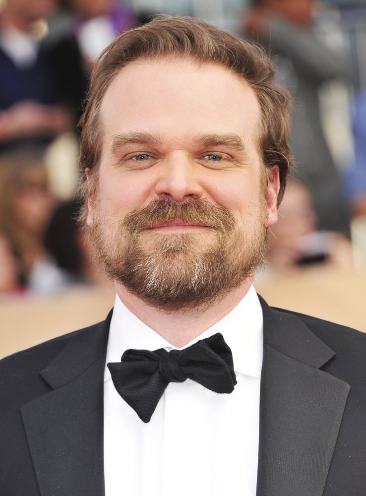 David Harbour Stranger Things Wiki Fandom