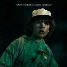 Temporada 1 | Stranger Things Wiki | Fandom