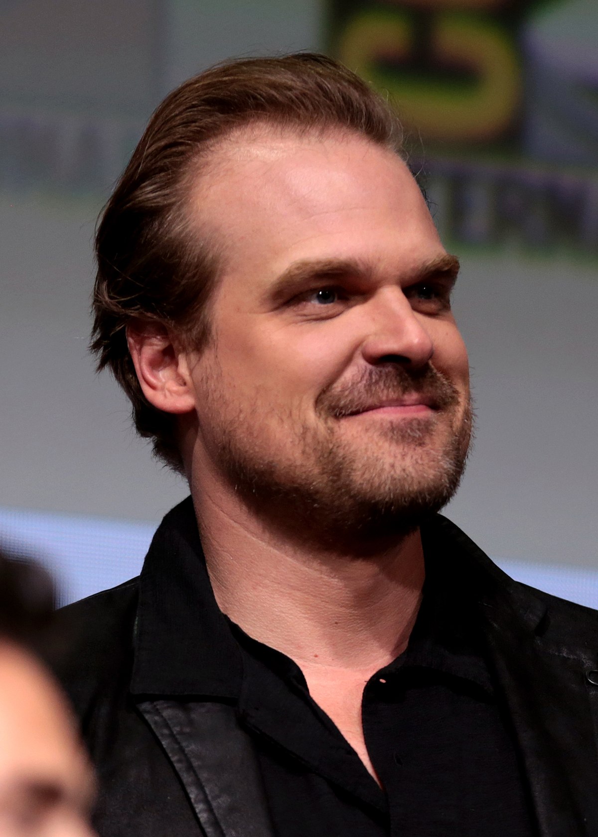 David Harbour Stranger Things Wiki Fandom