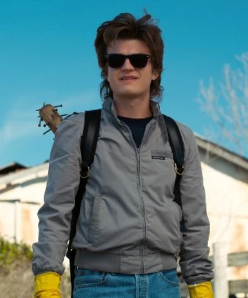 Steve Harrington | Stranger Things Wiki | Fandom
