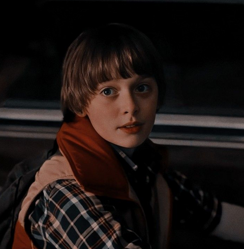 O Desaparecimento de Will Byers  Vc em Stranger Things, capítulo