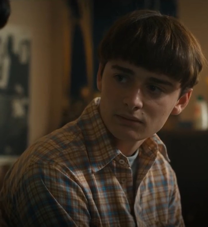 Stranger Things': Ator afirma que Will Byers terá grande destaque na última  temporada - CinePOP