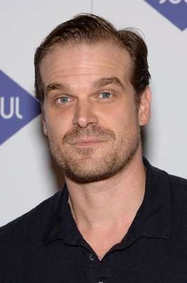 David Harbour Stranger Things Wiki Fandom